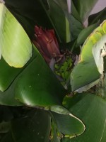 /album/fotogalerij/whatsapp-image-2018-12-24-at-13-45-18-jpeg/